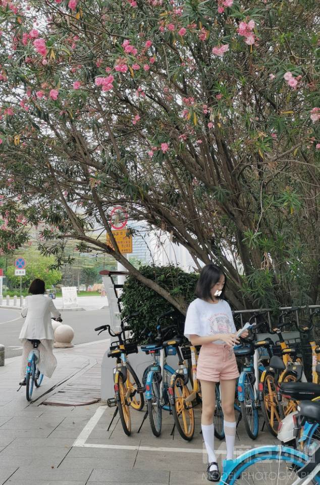 商务模特
