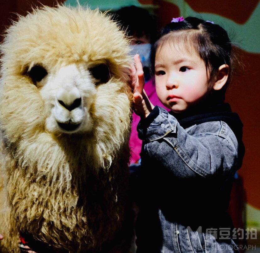 黑白模特
