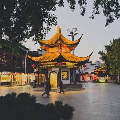 宝丽来模特