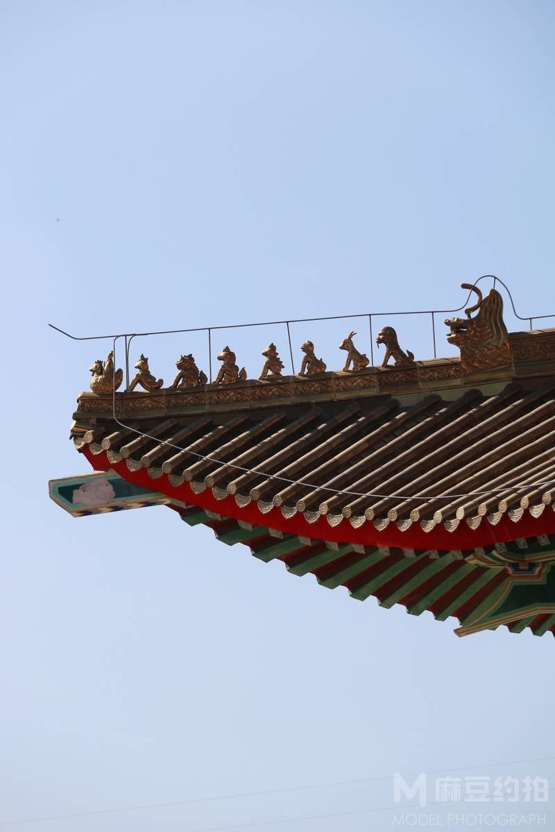 纪实模特