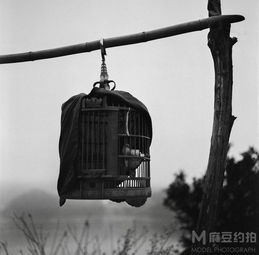胶片模特