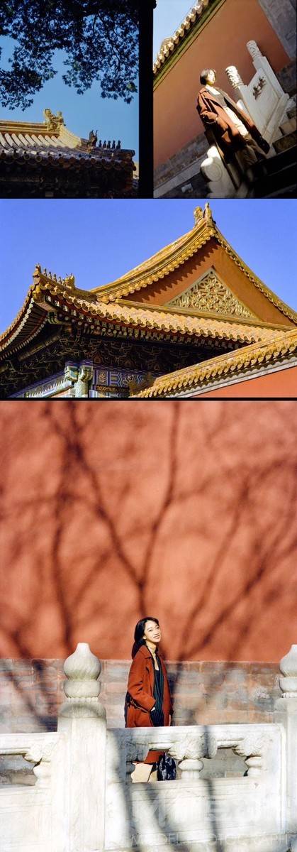 胶片模特