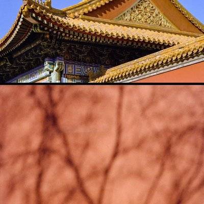 胶片模特