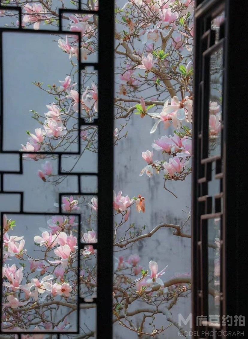 复古模特