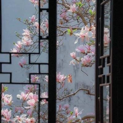 复古模特