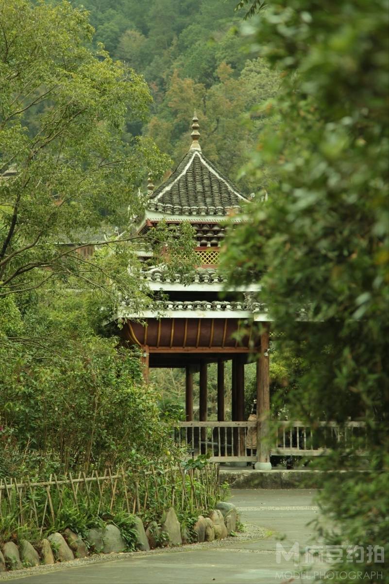纪实模特