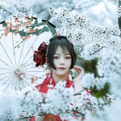 和服模特