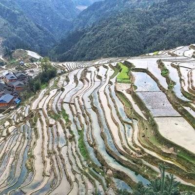 纪实模特