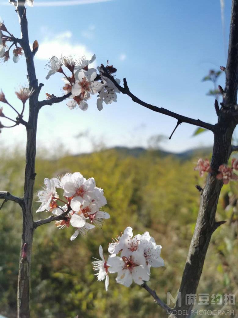 纪实模特