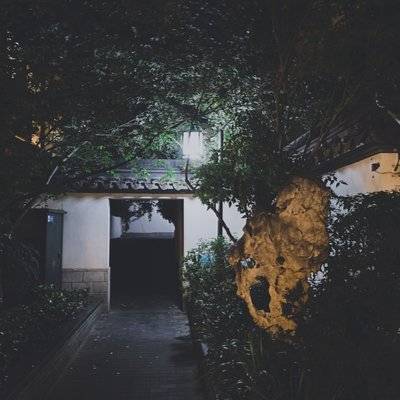 宝丽来模特