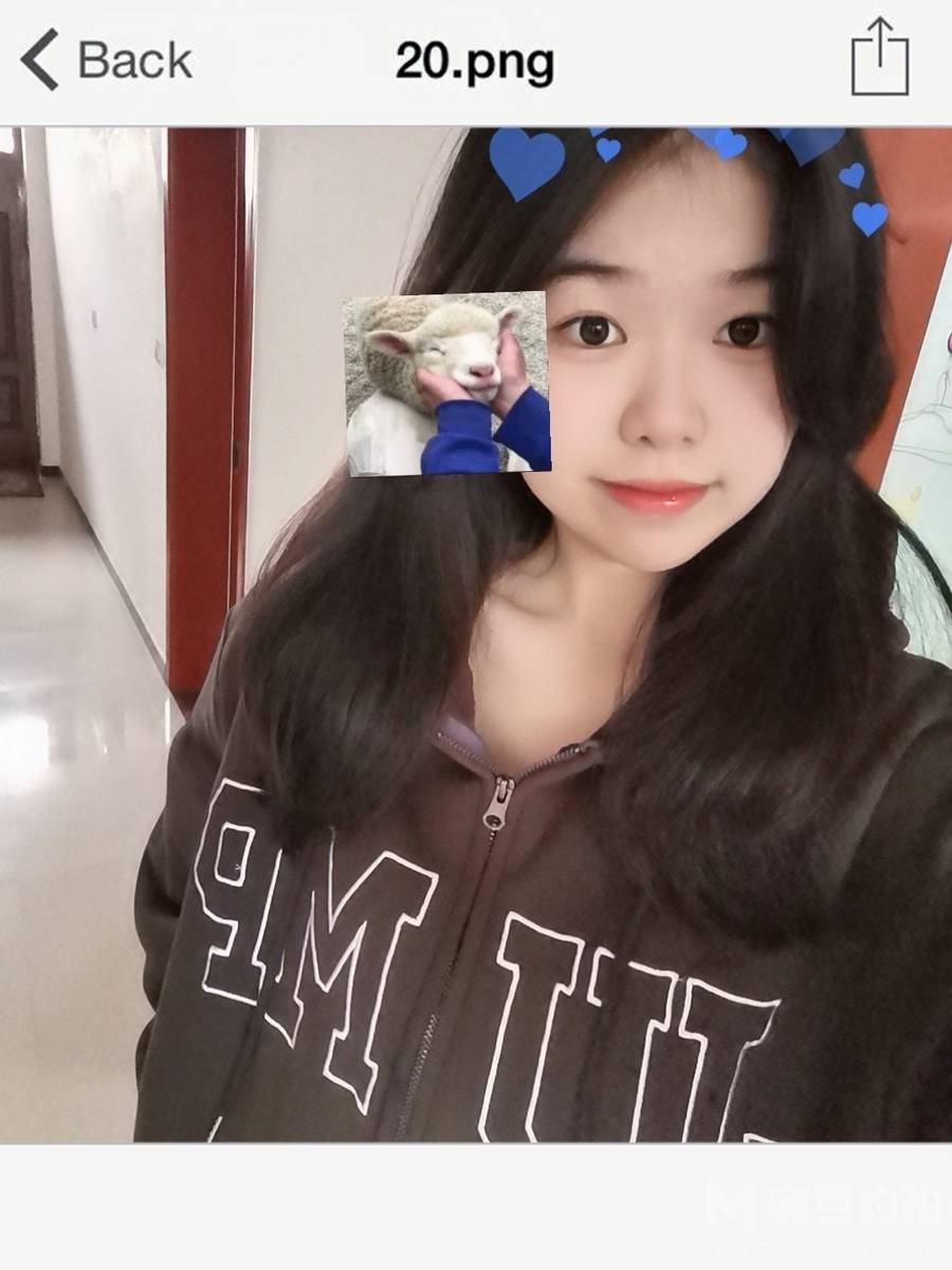 韩系模特