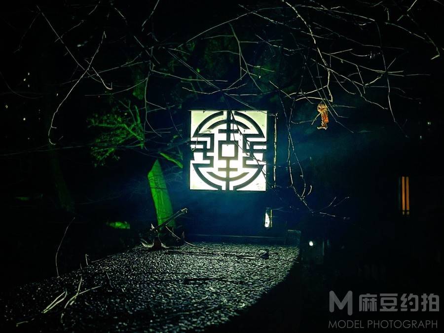 纪实模特