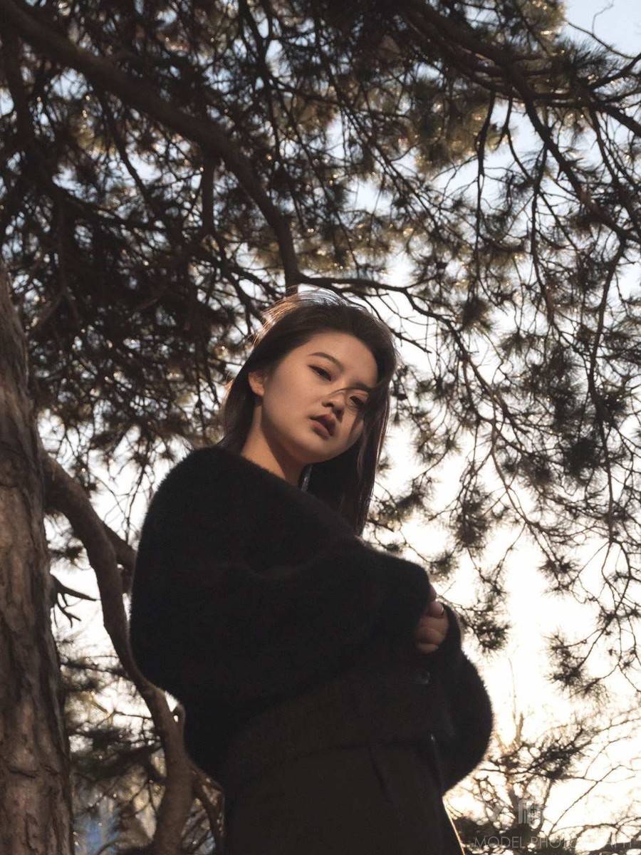 情绪模特