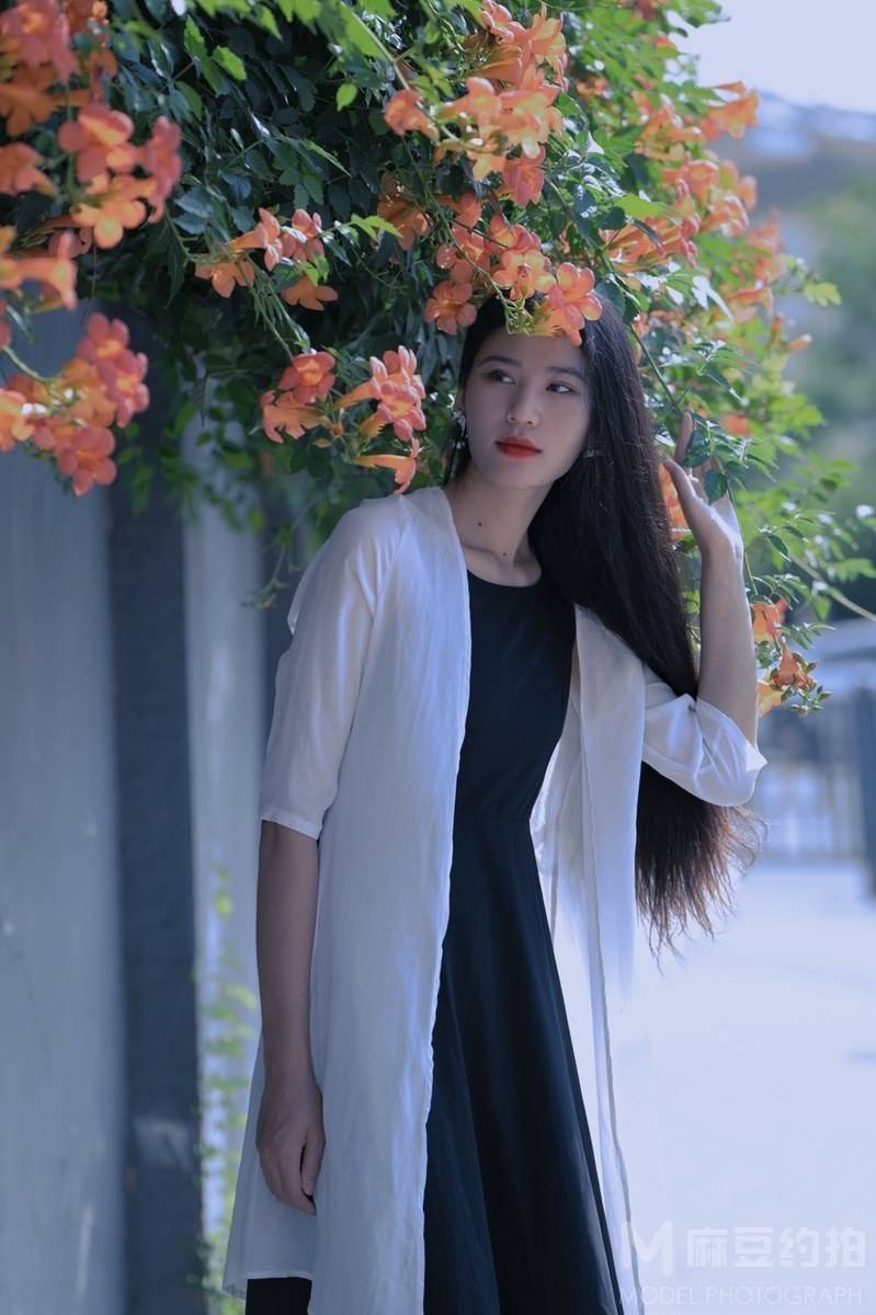 清新模特