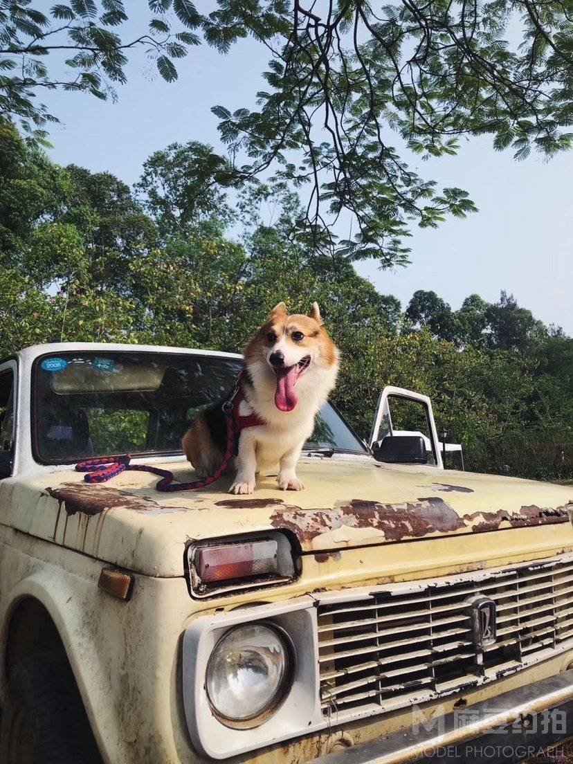 纪实模特