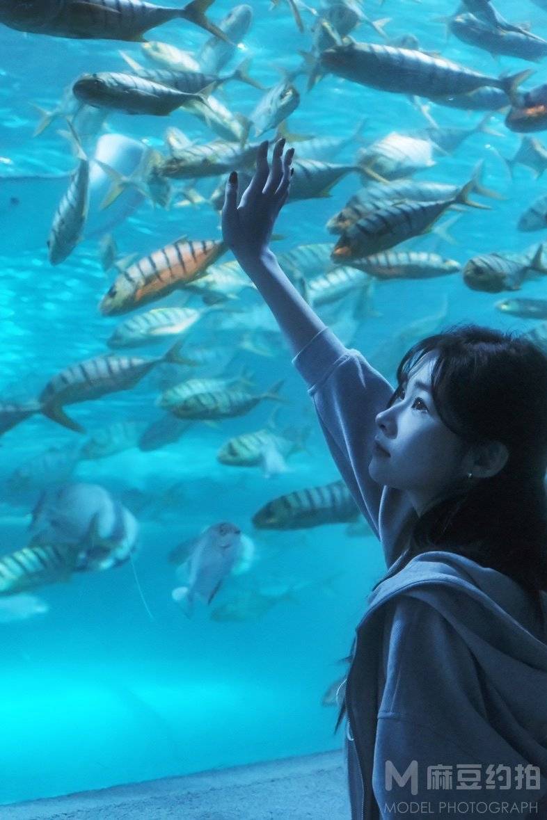 清新模特