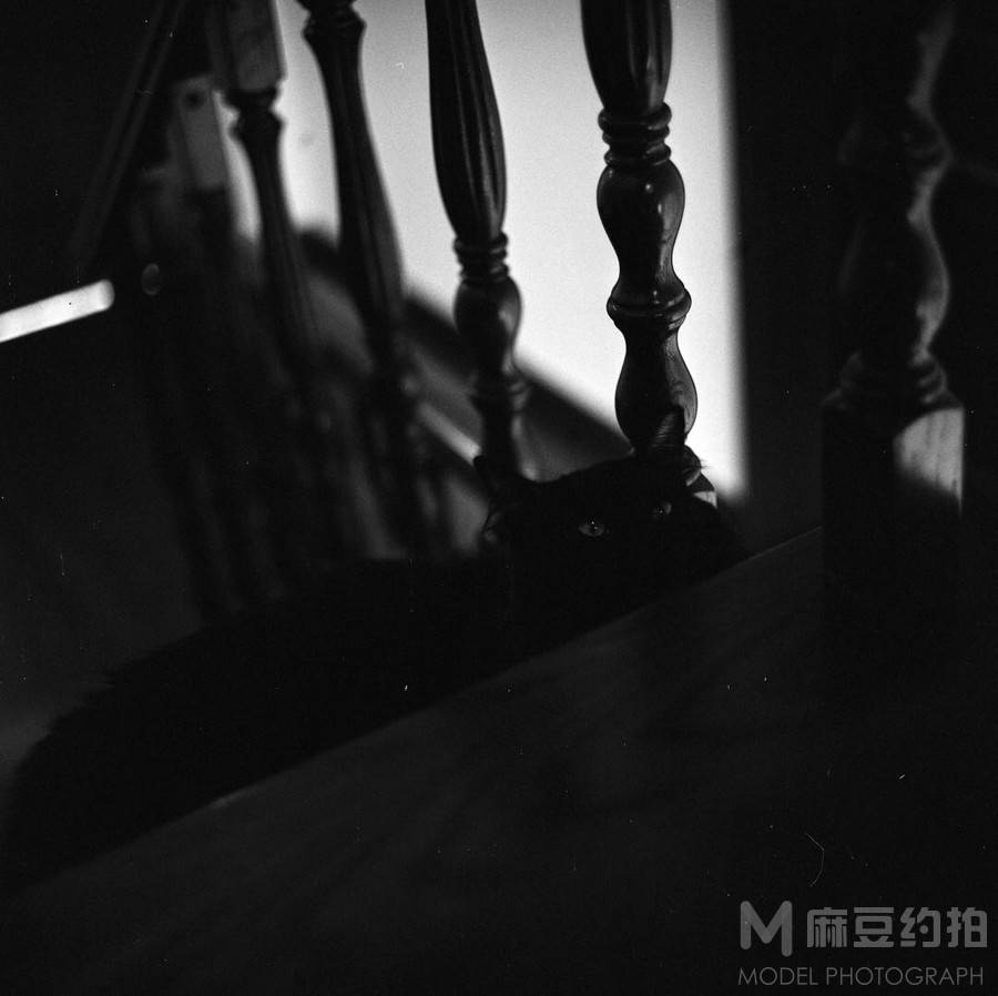 胶片模特