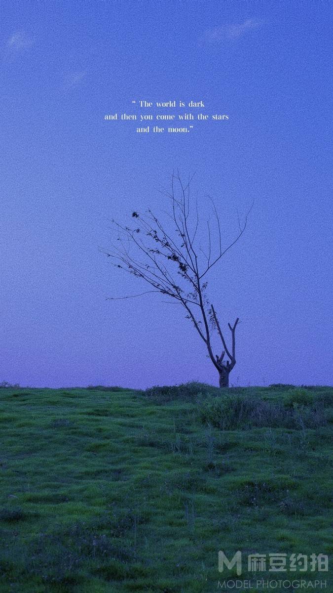 胶片模特