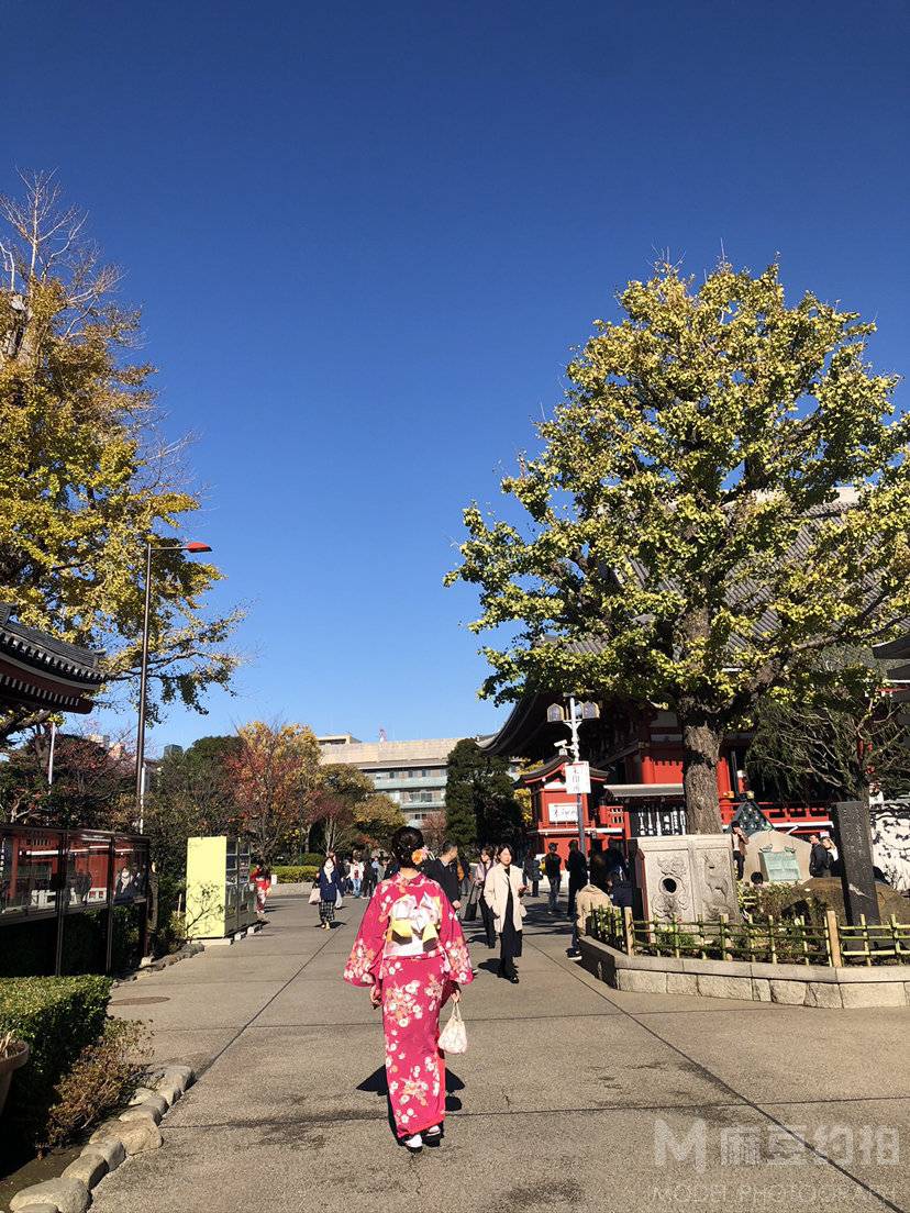 和服模特