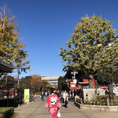 和服模特