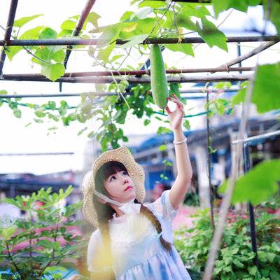 少女模特