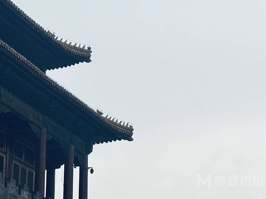 纪实模特