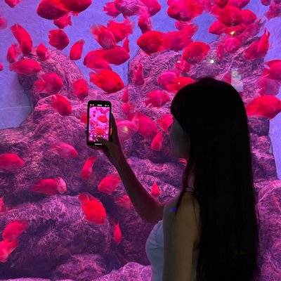 情侣模特