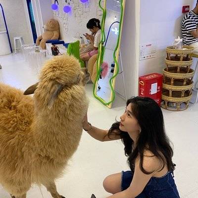 情侣模特