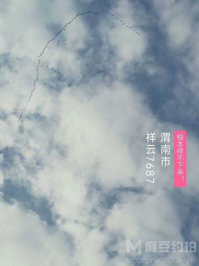 纪实模特