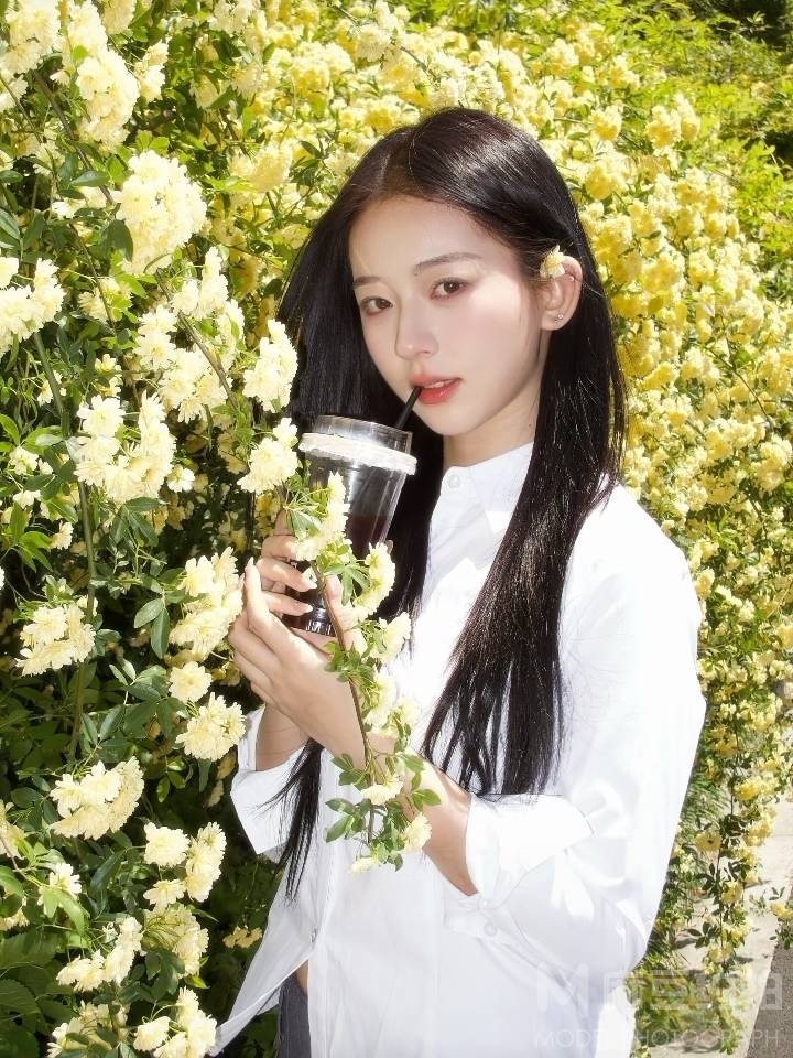清新模特