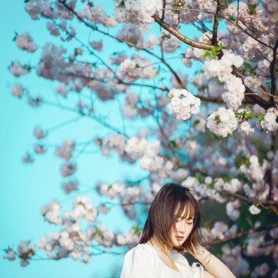 清新模特