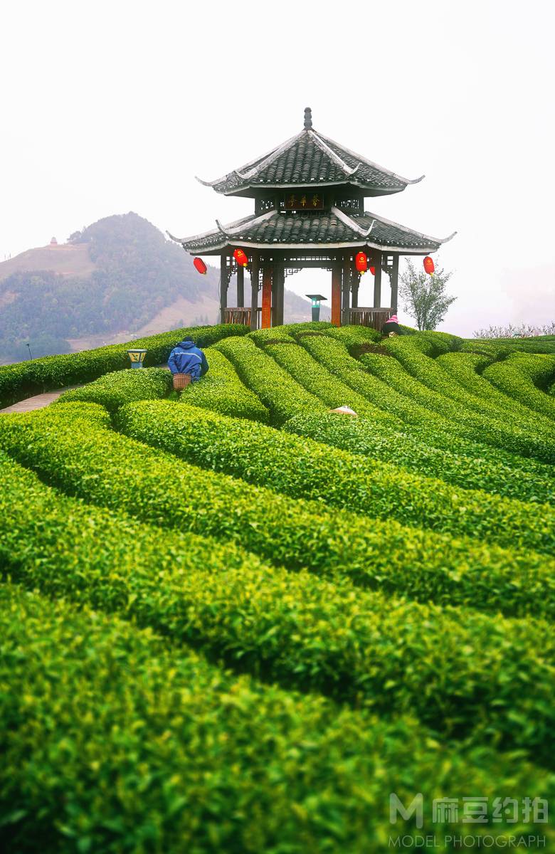 纪实模特
