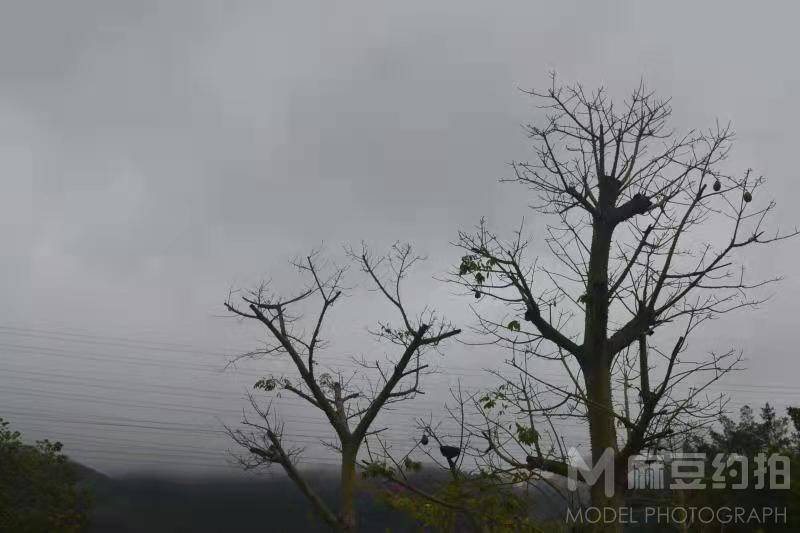 胶片模特