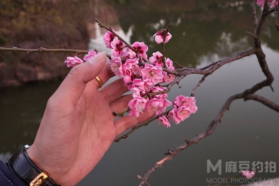 纪实模特