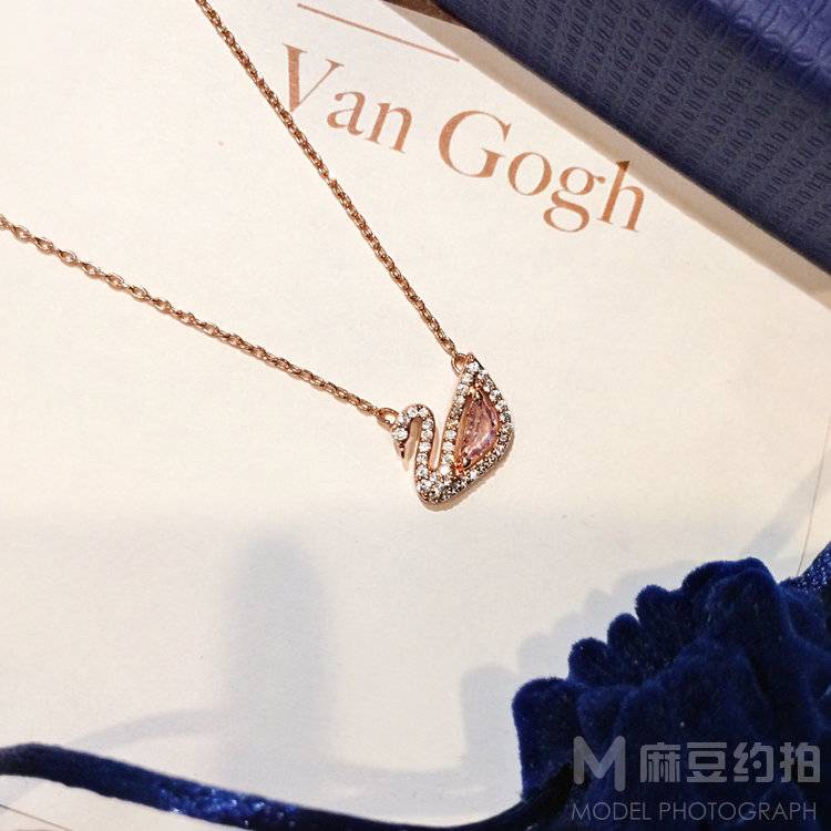 宝丽来模特