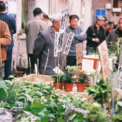 胶片模特
