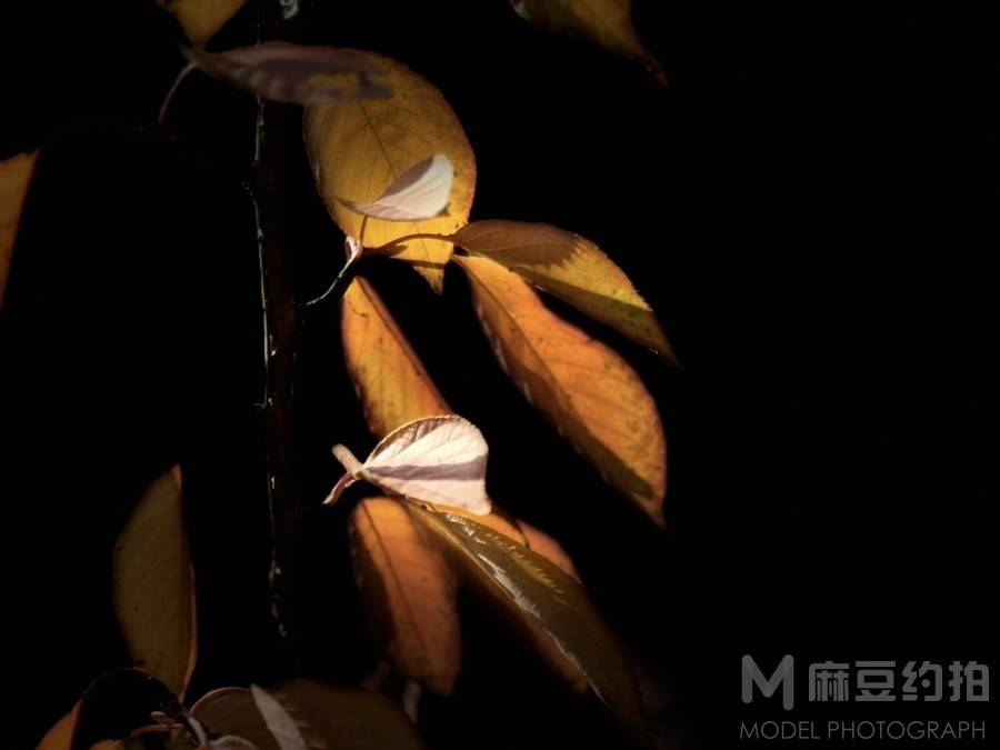 纪实模特