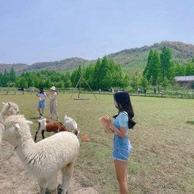 淘宝模特