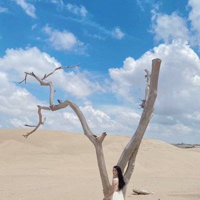 纪实模特