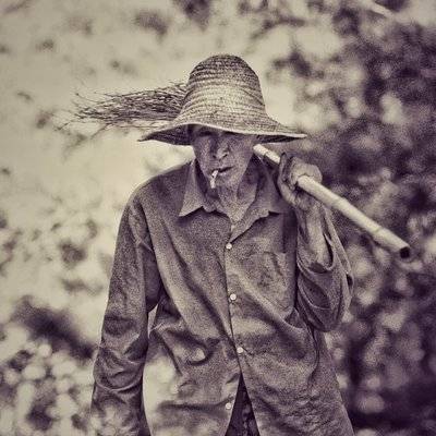 纪实模特