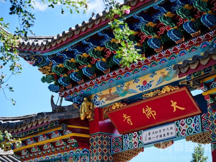 纪实模特