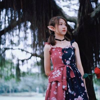 胶片模特