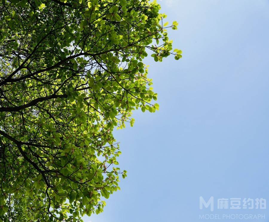 纪实模特