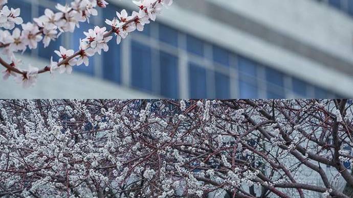 沈阳药科大学