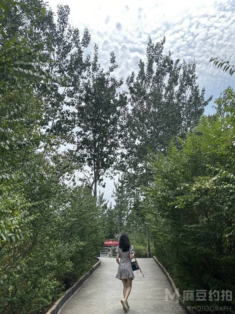 校园模特
