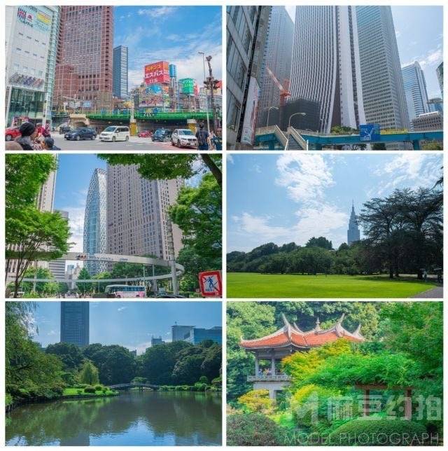 清新模特