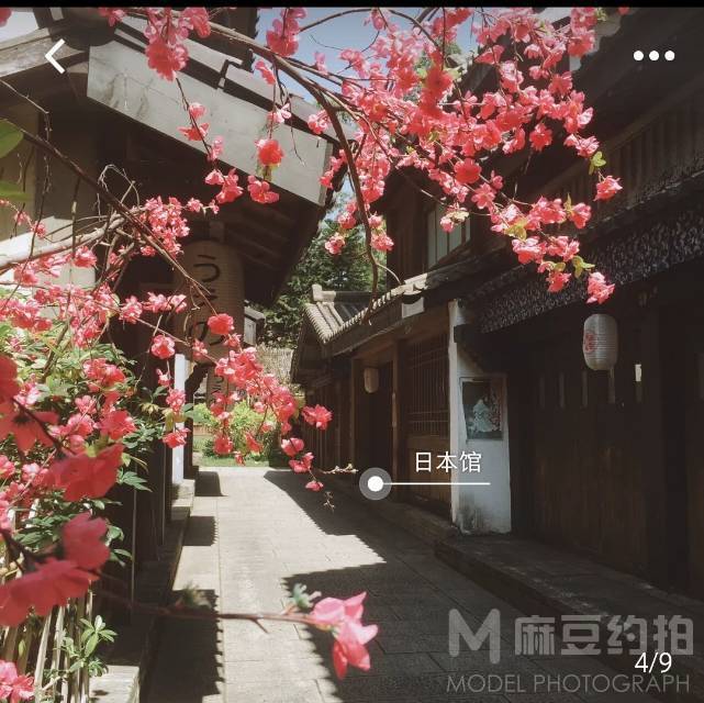 民国模特