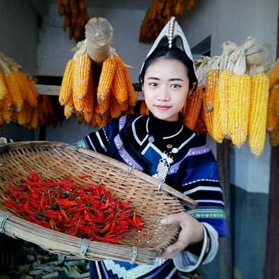 纪实模特