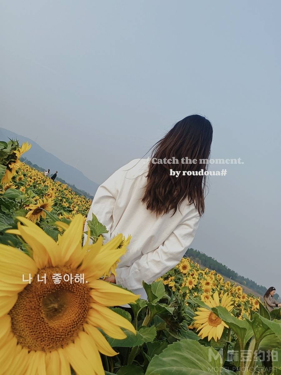 韩系模特