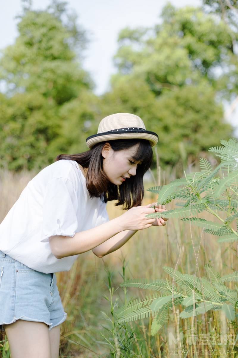 清新模特